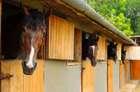 free Swayfield stable construction quotes